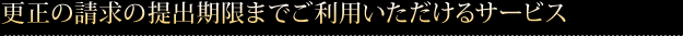 更正の請求の提出期限までご利用いただけるサービス 
